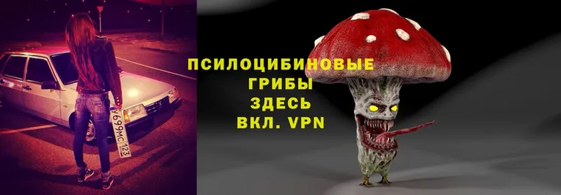 Псилоцибиновые грибы Magic Shrooms Дюртюли